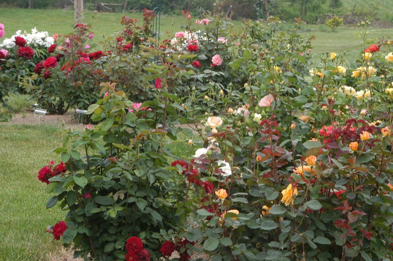 Annville Inn Bed & Breakfast 外观 照片
