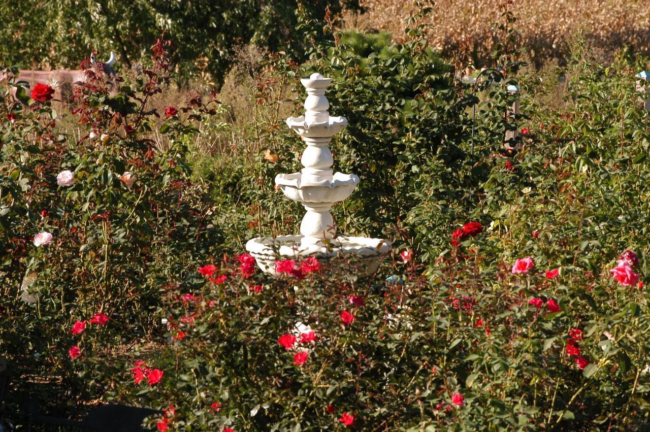 Annville Inn Bed & Breakfast 外观 照片